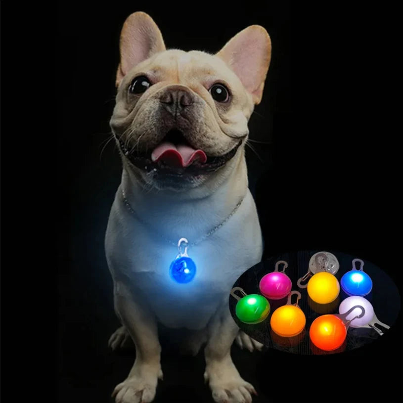 Pawsh™ LED Lichtgevende Hanger