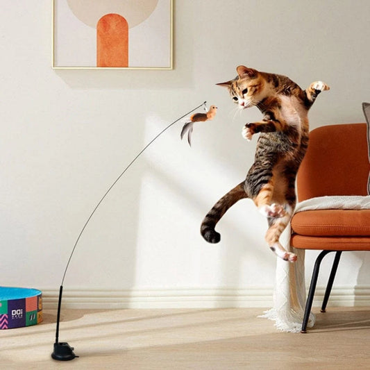 Pawsh™ CurveChaser