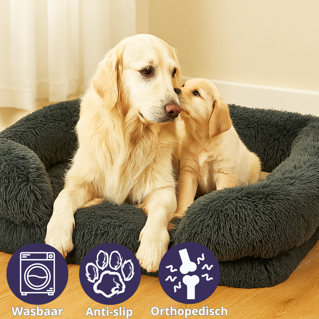 Hondenmand Orthopedisch Zacht – Warm, Ondersteunend & Wasbaar