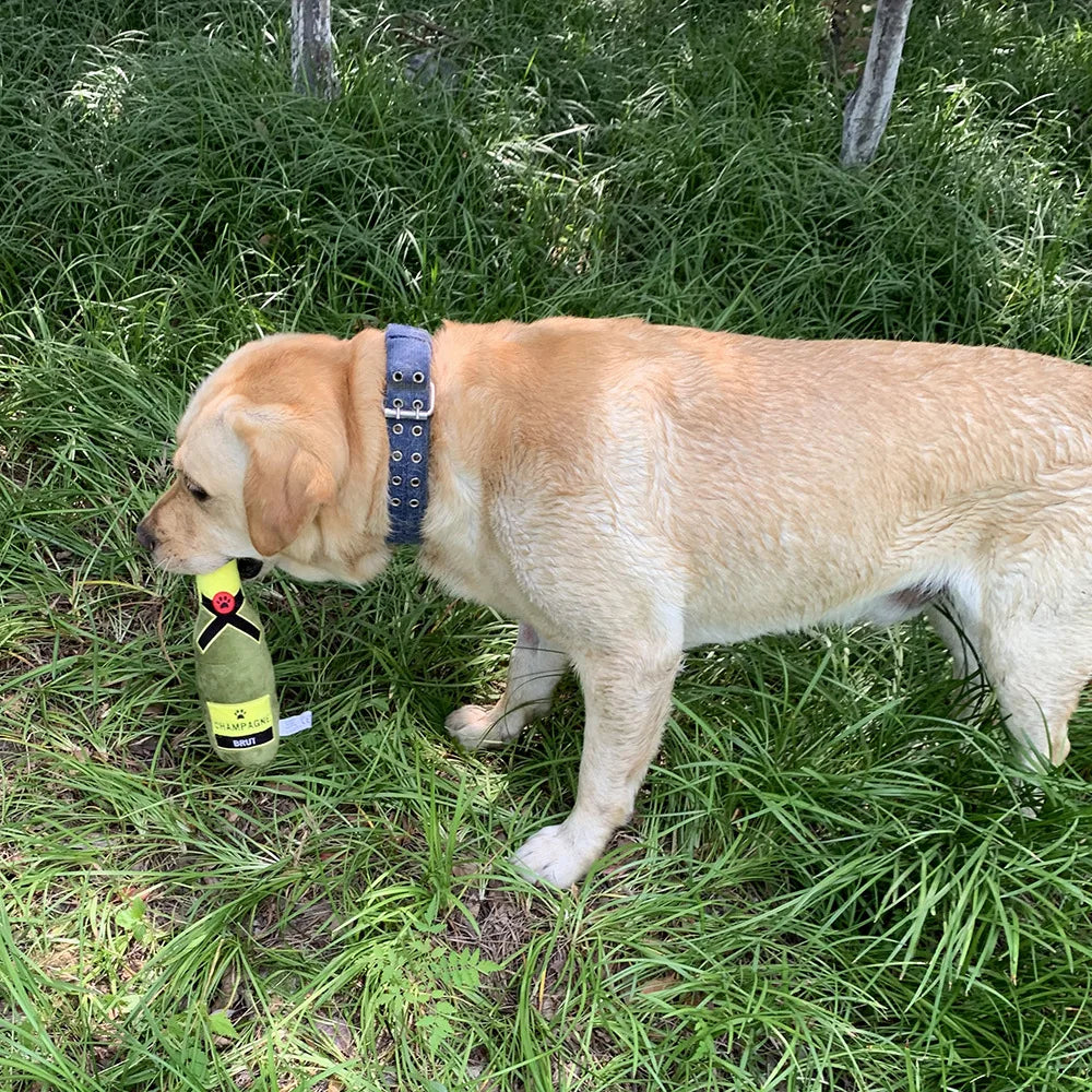 Pawsh™ Champagne  speeltje