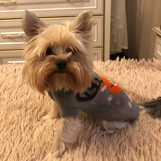 SnuffiePets™ Warme Puppy Trui