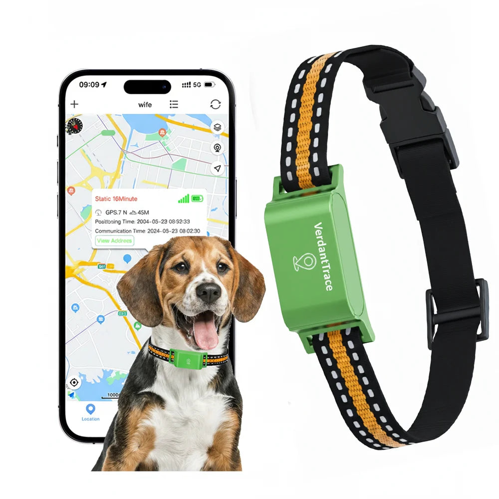 Pawsh™ VerdantTrace™ 4G GPS Tracker Halsband