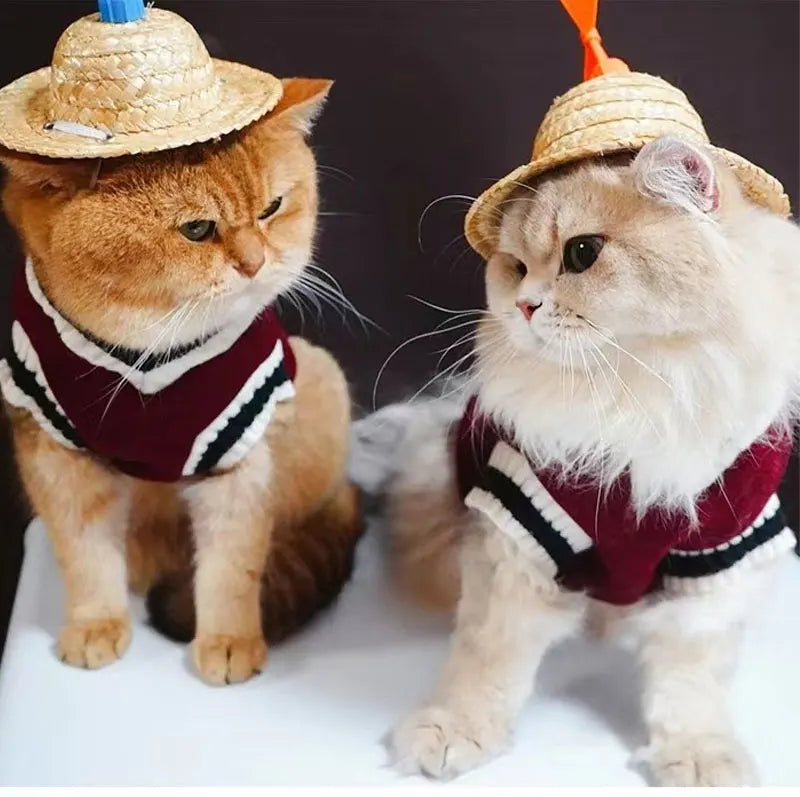 Pawsh™ Winter Warm V-Neck Knit Sweater