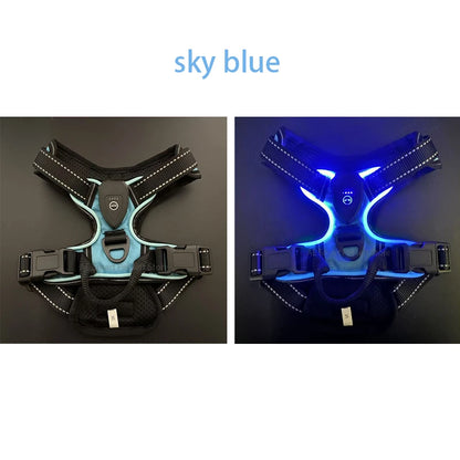 Pawsh™ LED Lichtharnas voor Honden