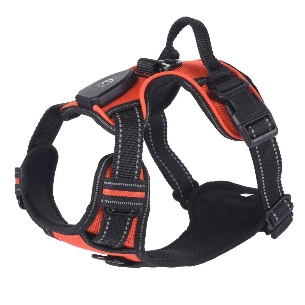 De Pawsh™ GlowHarness