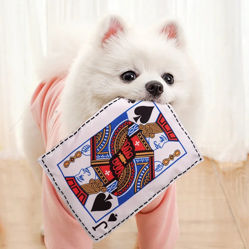 Pawsh™ Interactive Squeak Cards