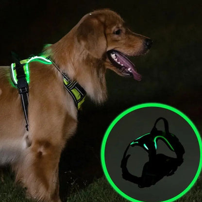 De Pawsh™ GlowHarness